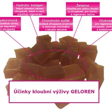 Náhled Geloren - Contipro Kloubní výživa GELOREN